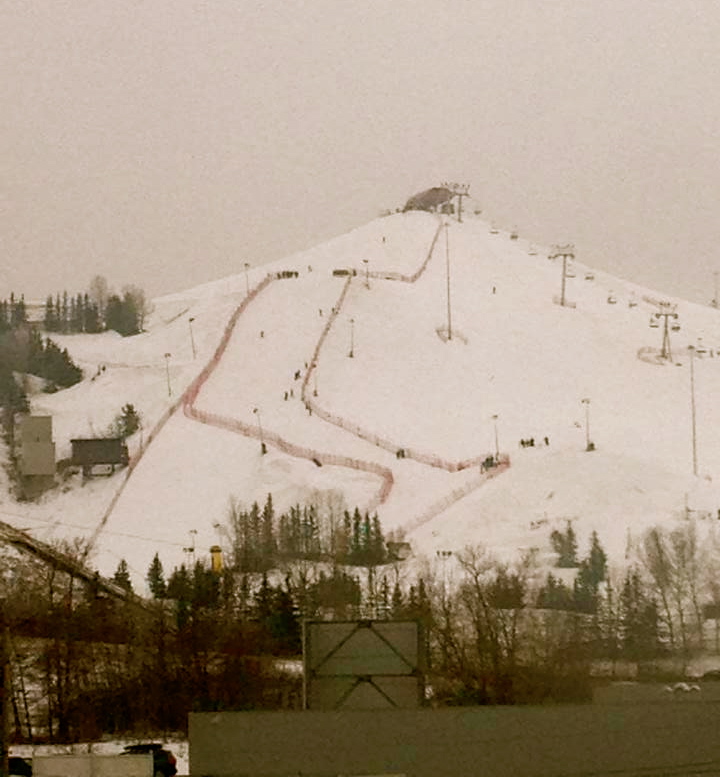 295522_10151530432207220_1275603494_n